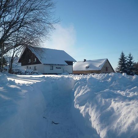 Pension Pugner Vysoké nad Jizerou Exterior photo