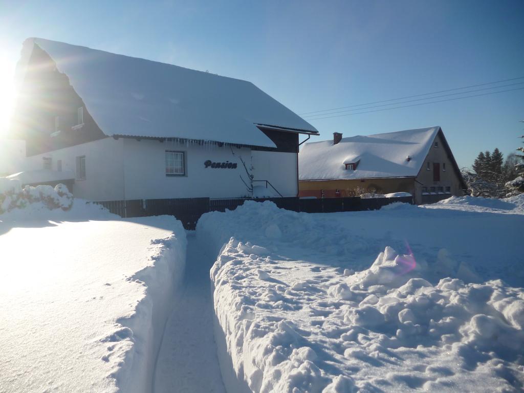 Pension Pugner Vysoké nad Jizerou Exterior photo