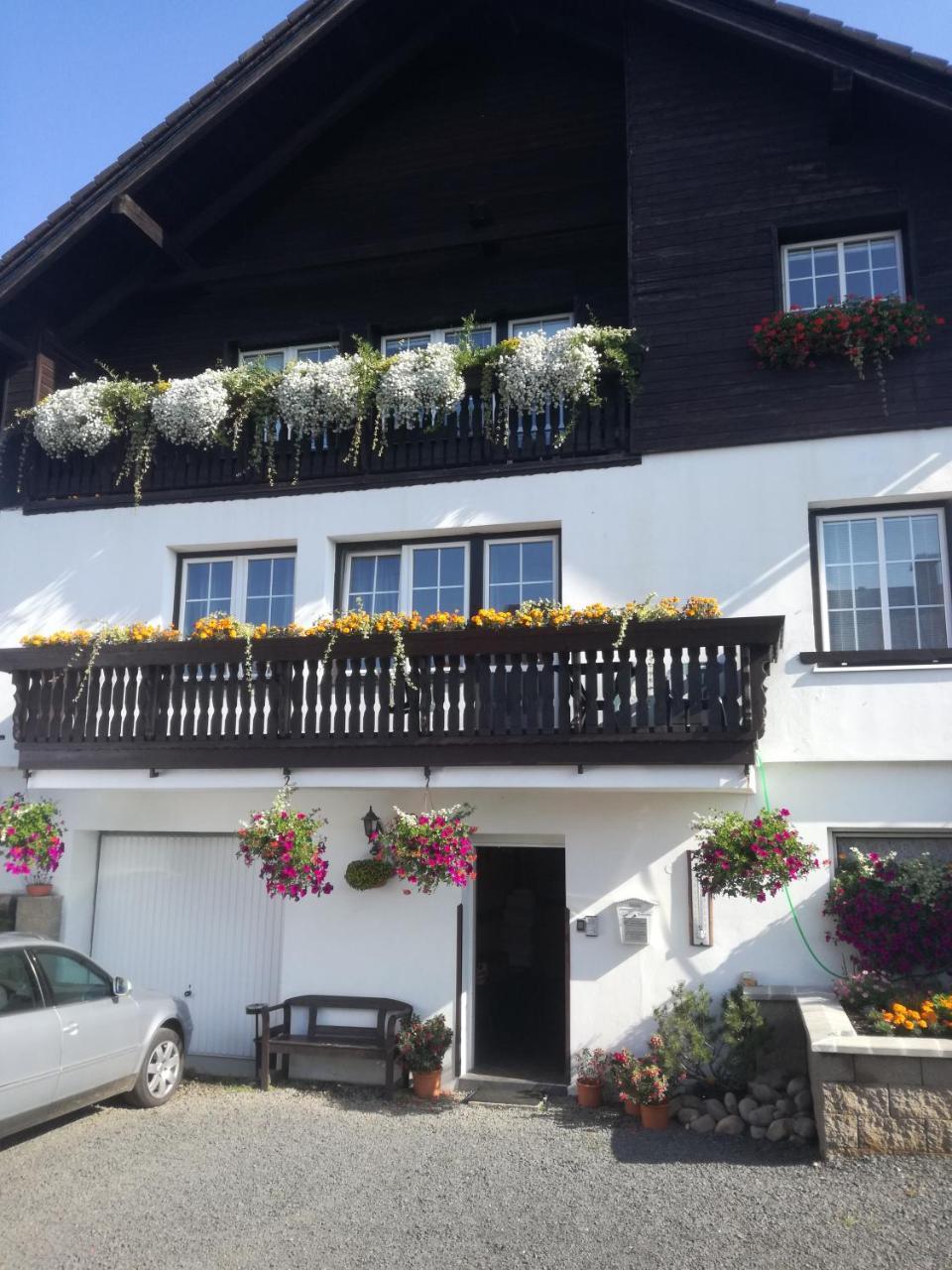 Pension Pugner Vysoké nad Jizerou Exterior photo